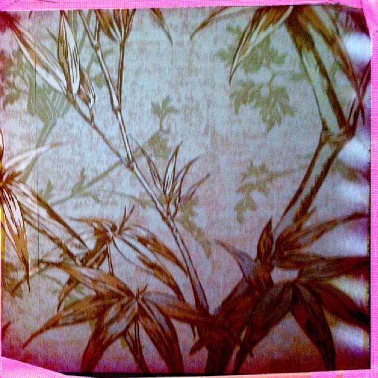 Lotus Lounge, Adelaide, Australia - Floral Design - HD Wallpaper 