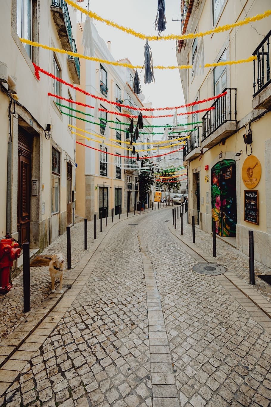 Streets Decorated For The Saint Anthony Feast In Lisbon, - Lisbon Portugal Streets - HD Wallpaper 