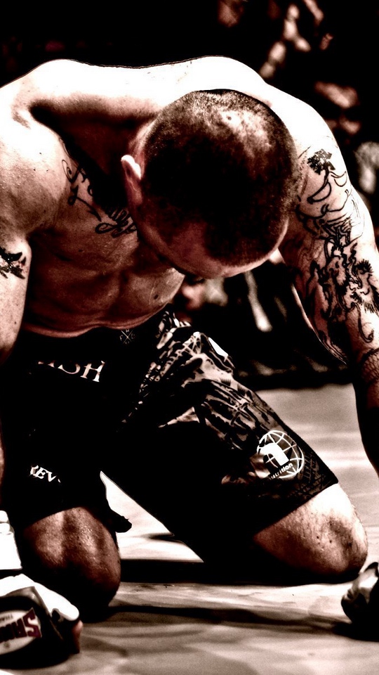 Wallpaper Mma, Mixed Martial Arts, Fighter, Tattoos - Mma Wallpaper Iphone 6 - HD Wallpaper 