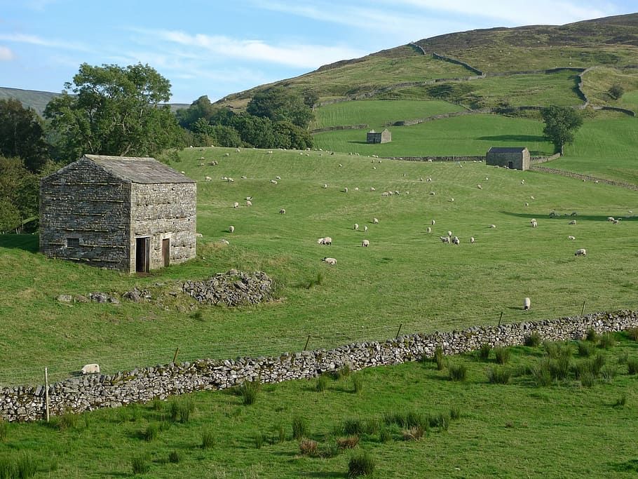 Barn, Stone, Yorkshire, Dales, Rural, Countryside, - Yorkshire - HD Wallpaper 