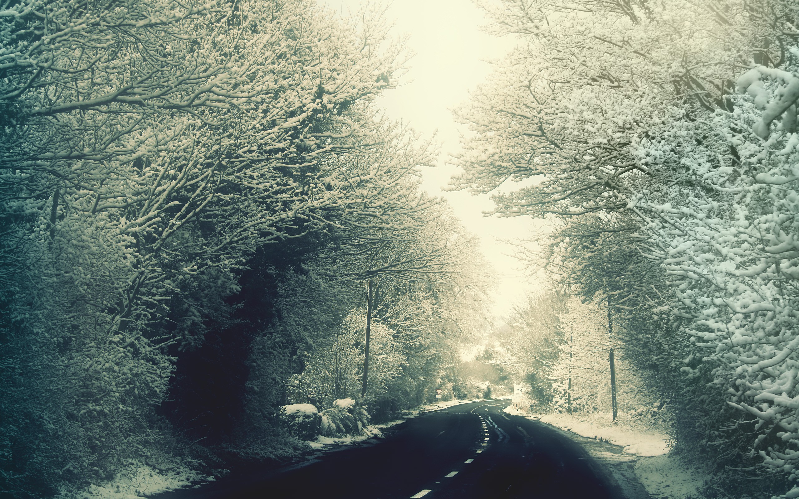 Wallpaper - Winter Road In Woods - HD Wallpaper 