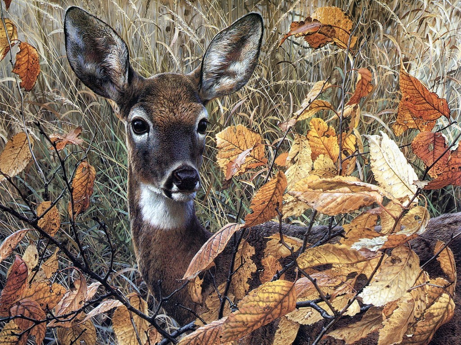 Carl Brender Autumn Lady - HD Wallpaper 