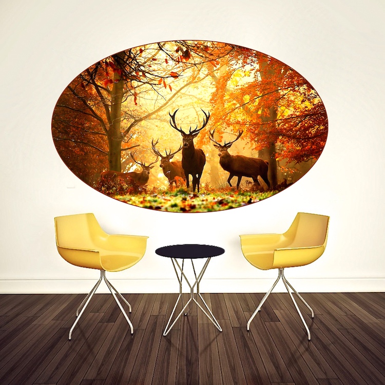 Beautiful Pictures Of Deers - HD Wallpaper 