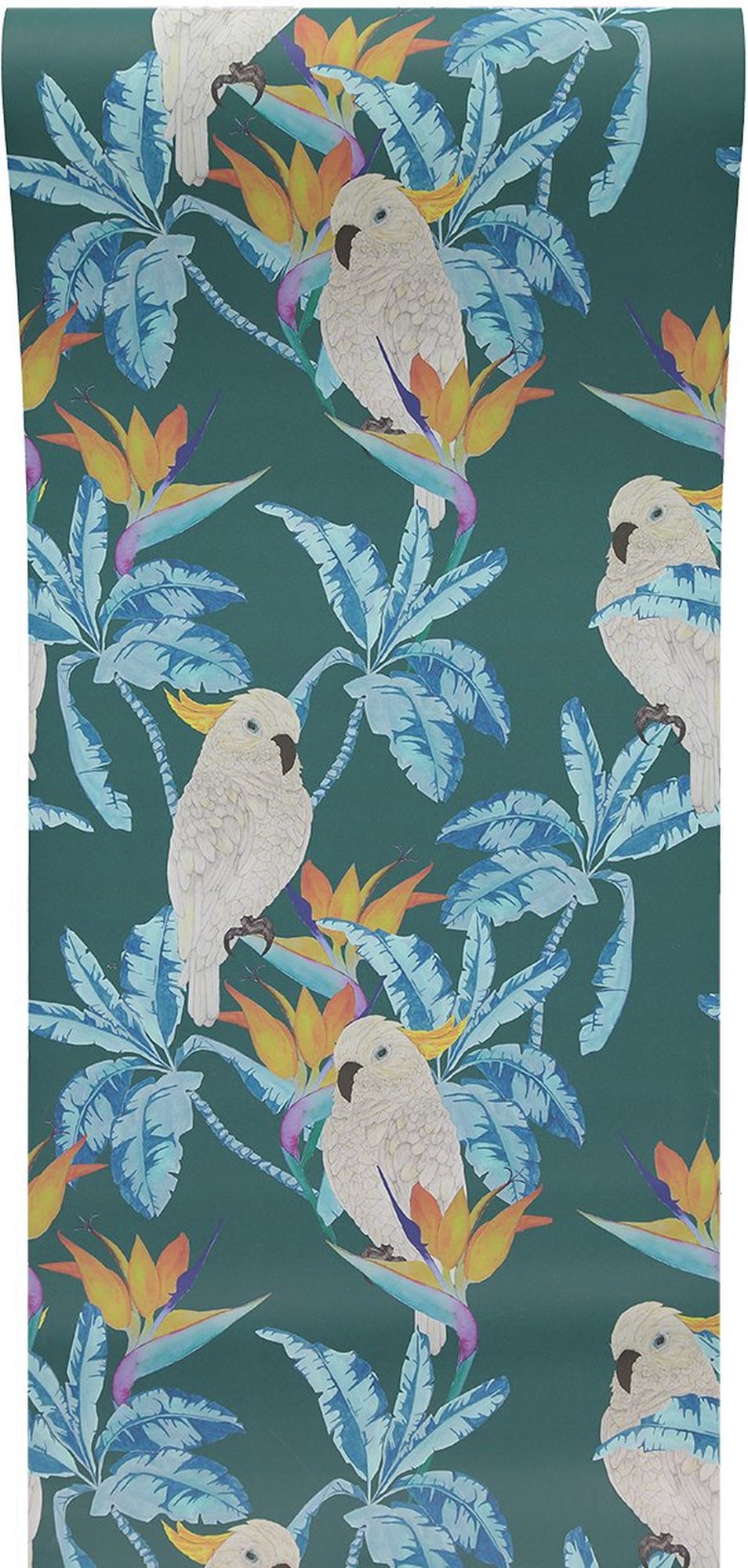 Cockatoo Background - HD Wallpaper 