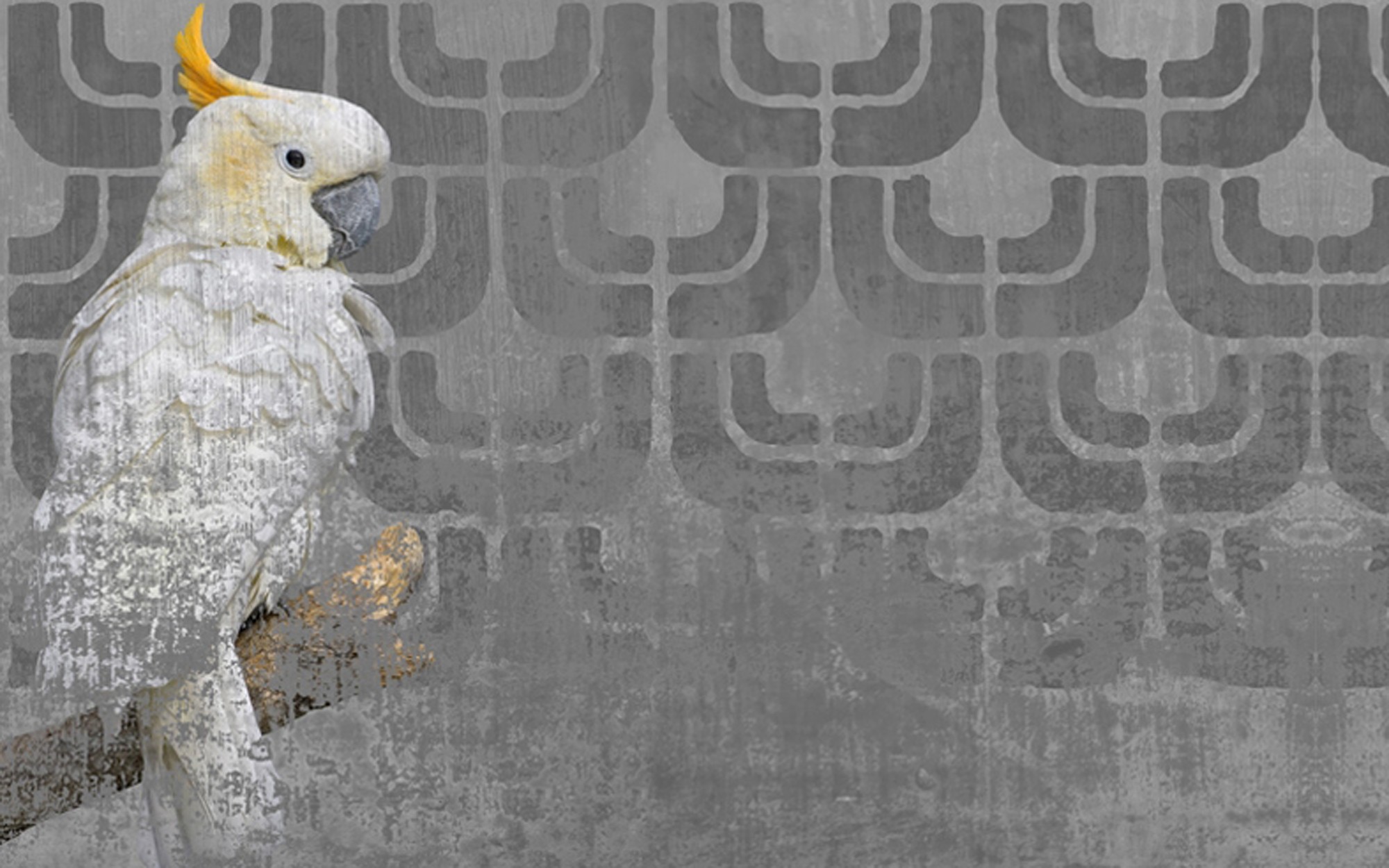 Indoor From Wall&deco At Pure Interiors - Wall&decò Cockatoo - HD Wallpaper 