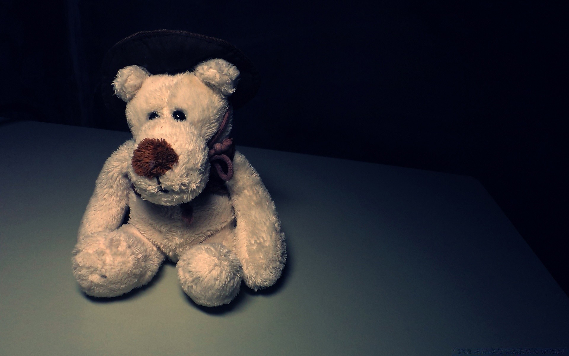 Creative Dog One Desktop Mammal Studio Cute - Wallpaper - HD Wallpaper 