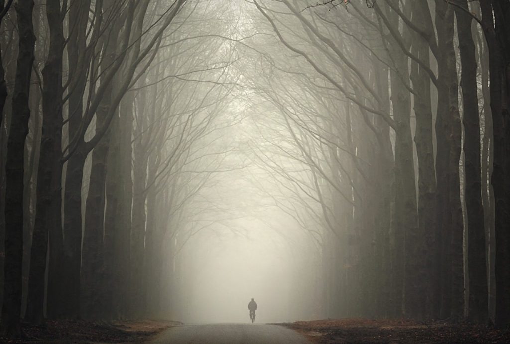 Other Lonely Autumn Road Loneliness Forest Haze Sad - Foggy Road - HD Wallpaper 