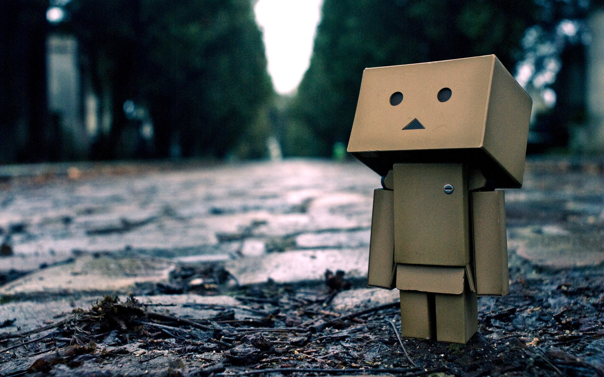 Danbo Wallpapers Hd - HD Wallpaper 