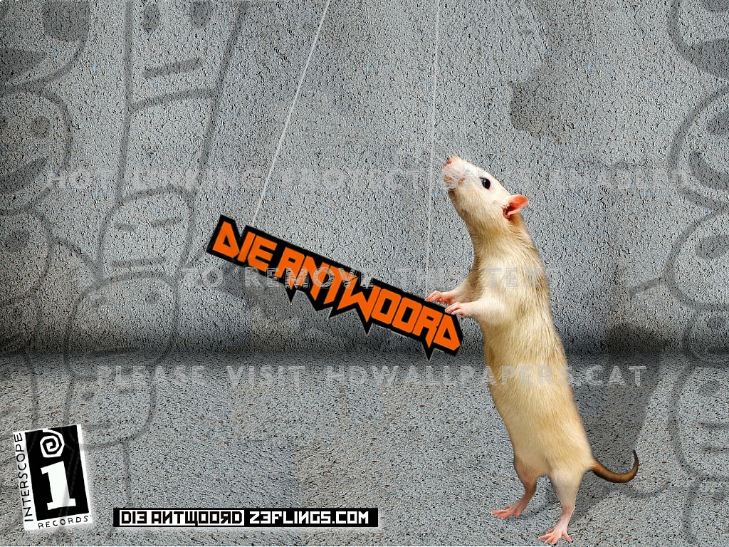 Die Antwoord Yo Landi S Rat Music - Rat - HD Wallpaper 