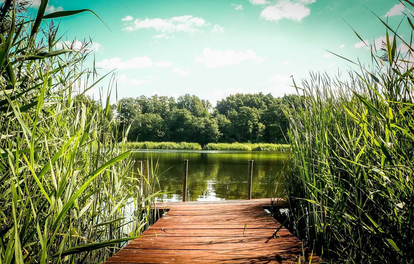 Photo Wallpaper Green, Summer, Lake, Warm - Summer Lake - HD Wallpaper 