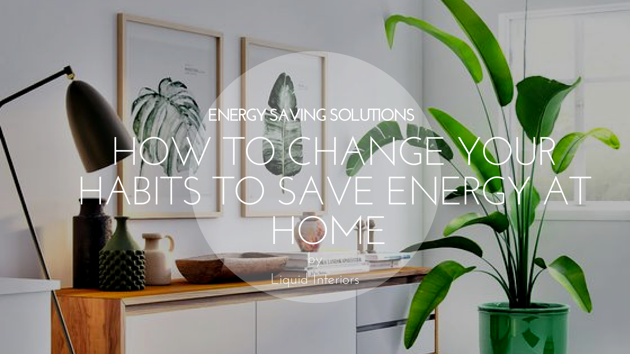 Plante Haute Deco - HD Wallpaper 