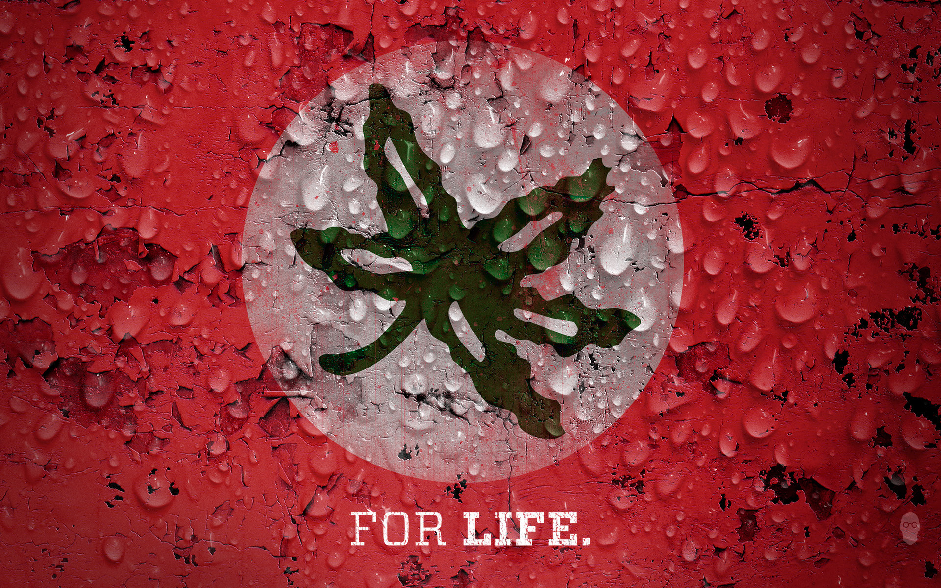 Data Src Download Ohio State Wallpaper For Samsung - Ohio State Wallpaper 2019 - HD Wallpaper 