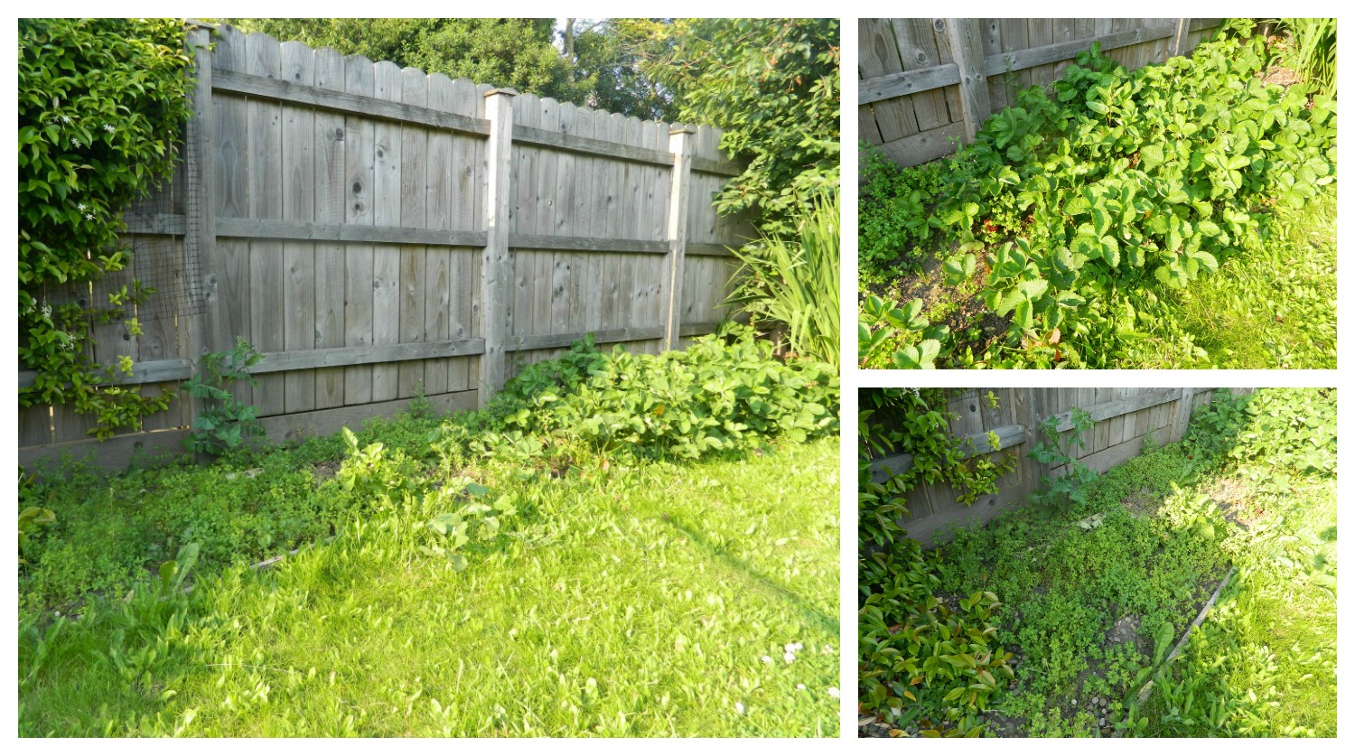 Picket Fence - 1500x837 Wallpaper - teahub.io