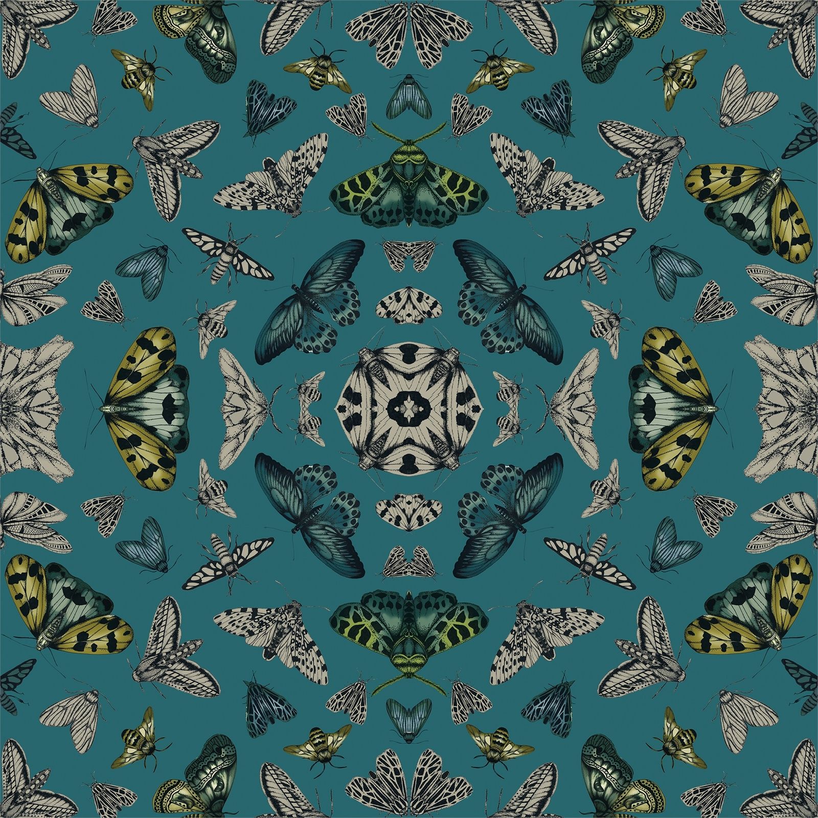 Glitter Bug Arthouse - HD Wallpaper 