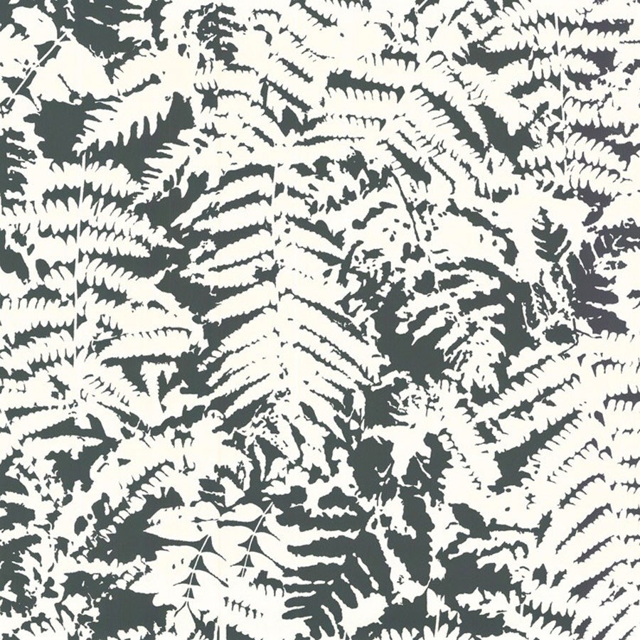 Fern Wallpaper Little Greene Off Black 0281feoffbl - Little Greene Fern Clearing - HD Wallpaper 