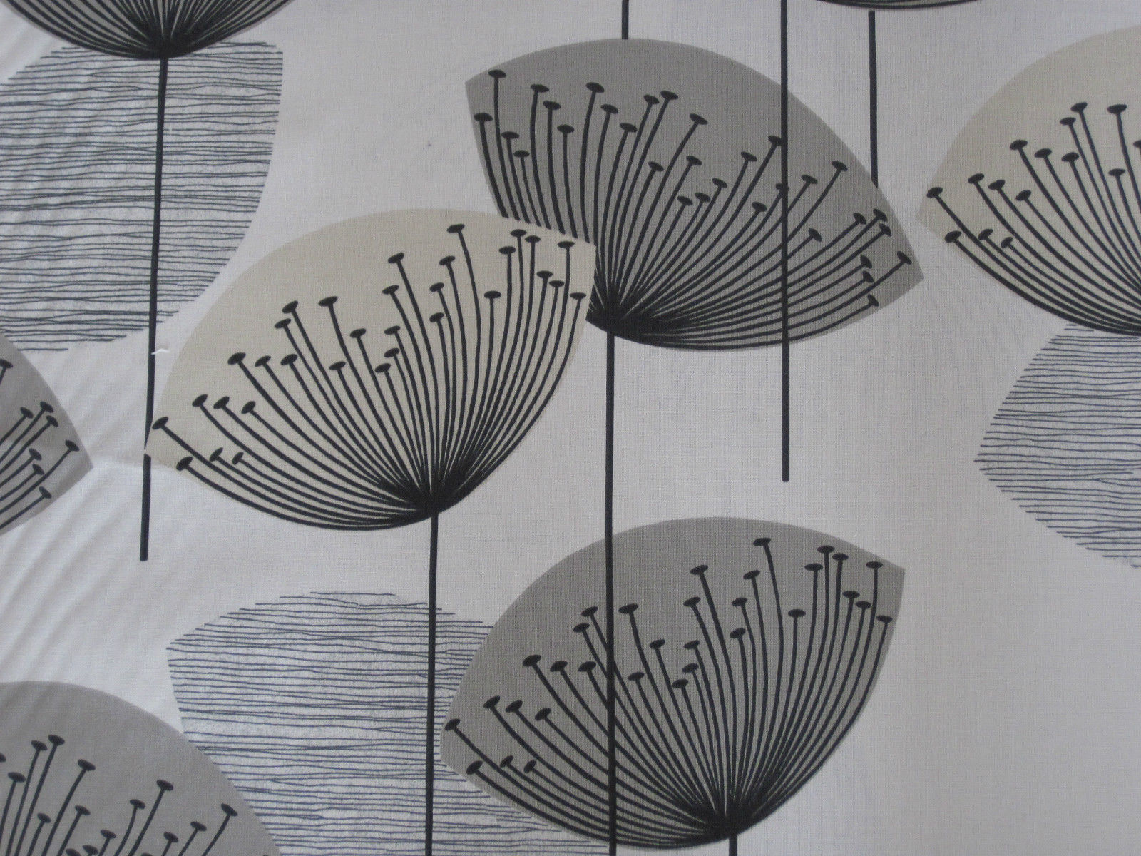 Sanderson Dandelion Clocks - HD Wallpaper 