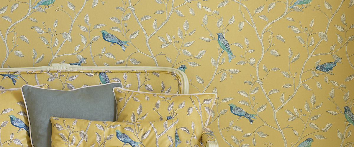 Sanderson Finches - HD Wallpaper 