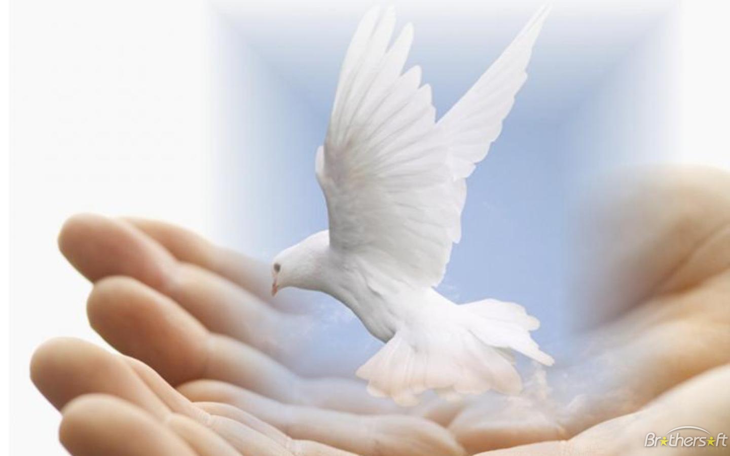 Http - //3 - Bp - Blogspot - Com/ Of Peace Wallpaper - HD Wallpaper 