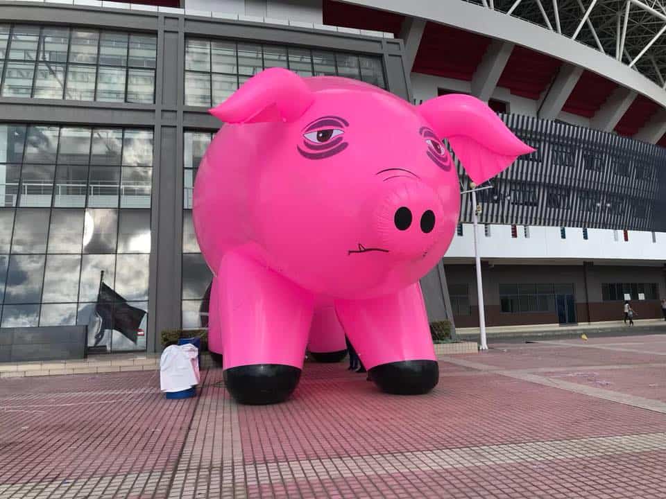 Roger Waters Costa Rica - HD Wallpaper 