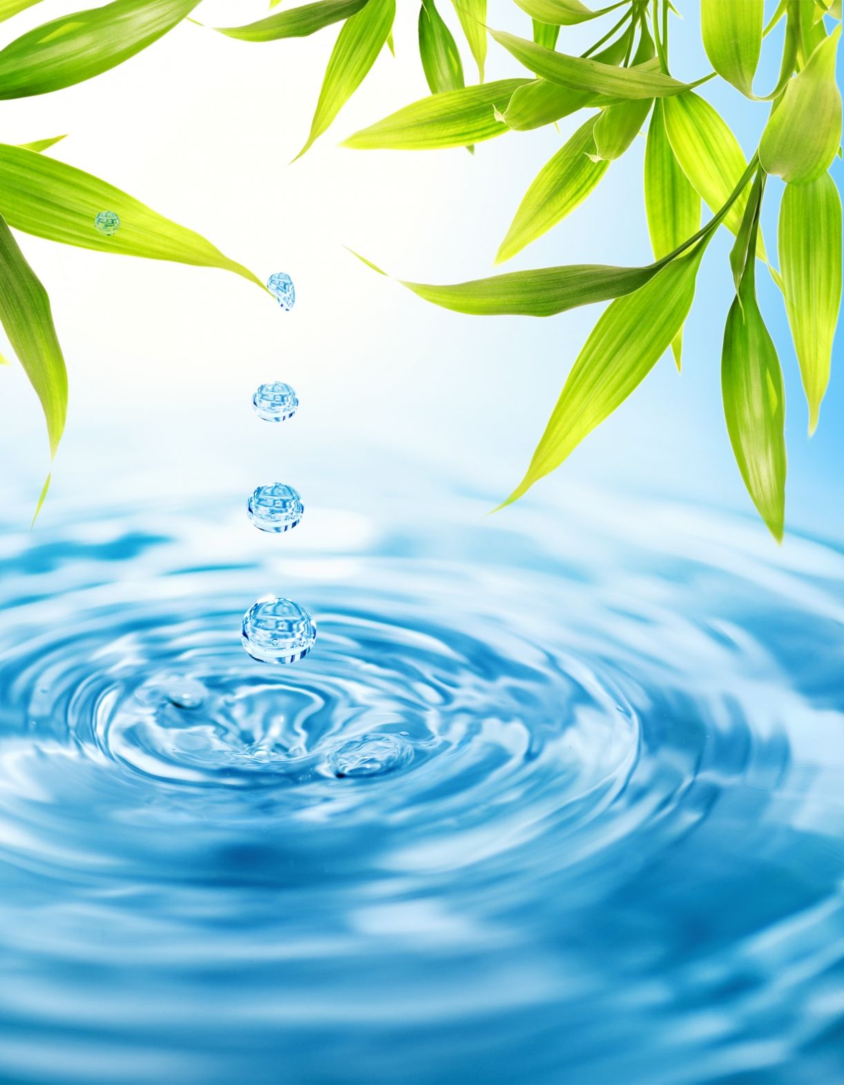 Water Drops With Leaf - HD Wallpaper 