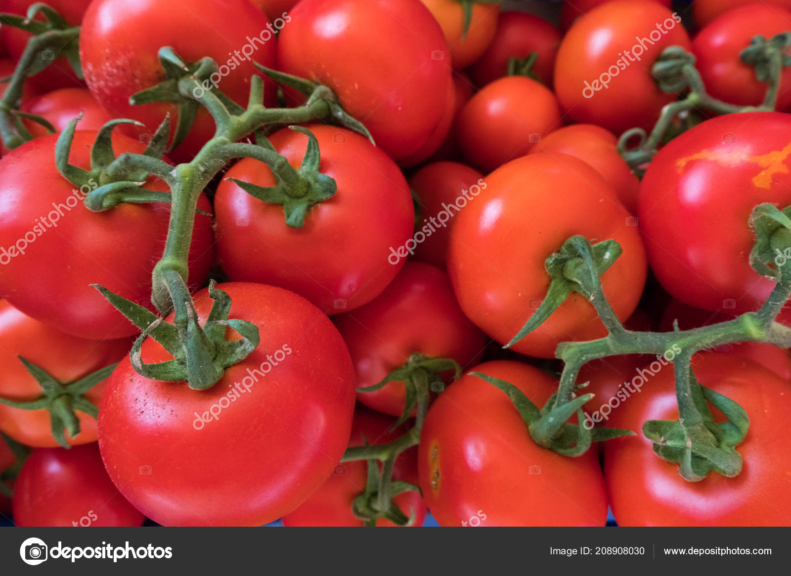 Cherry Tomatoes - HD Wallpaper 
