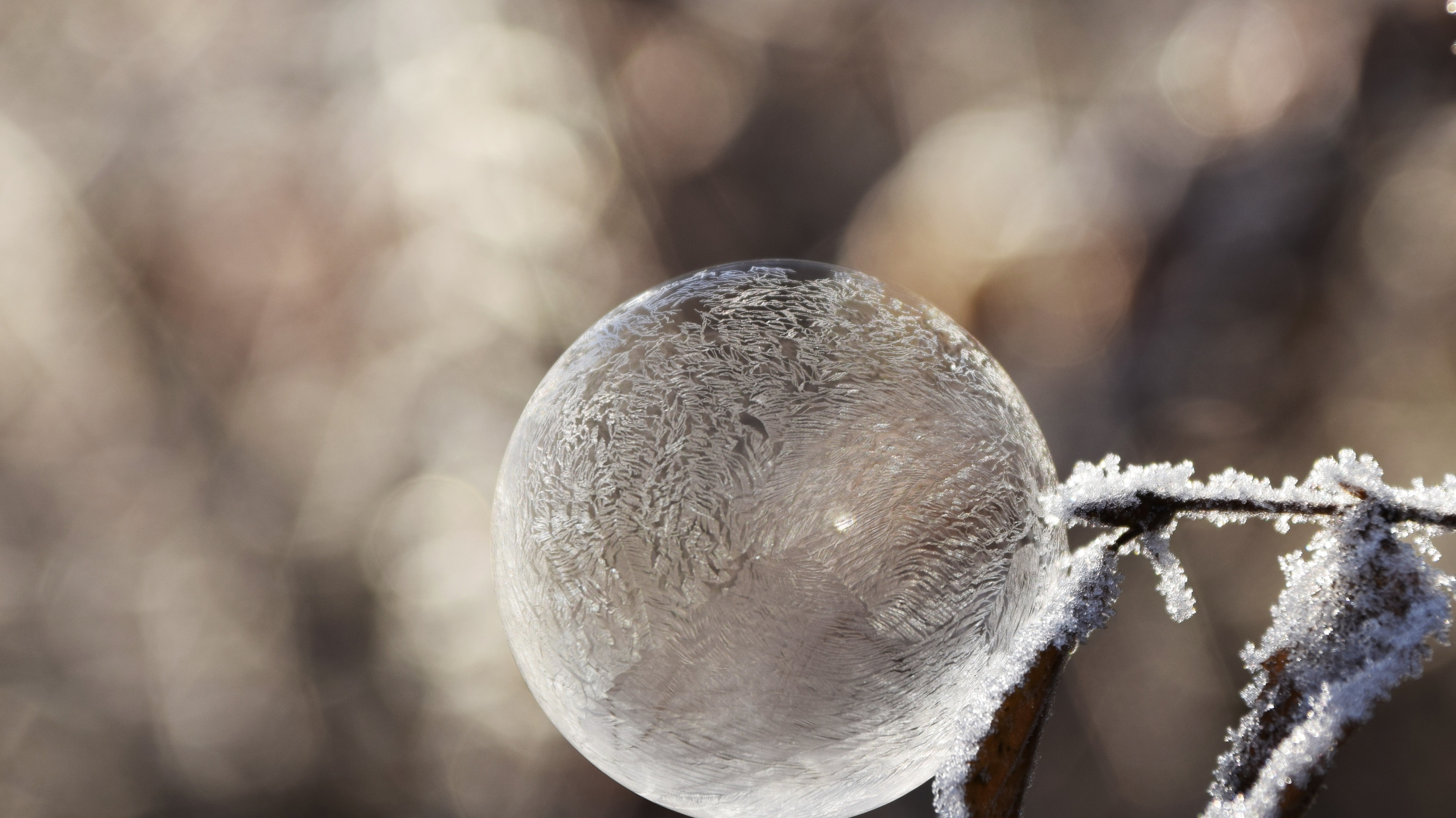 Soap Bubble 4k - Winter Mood - HD Wallpaper 