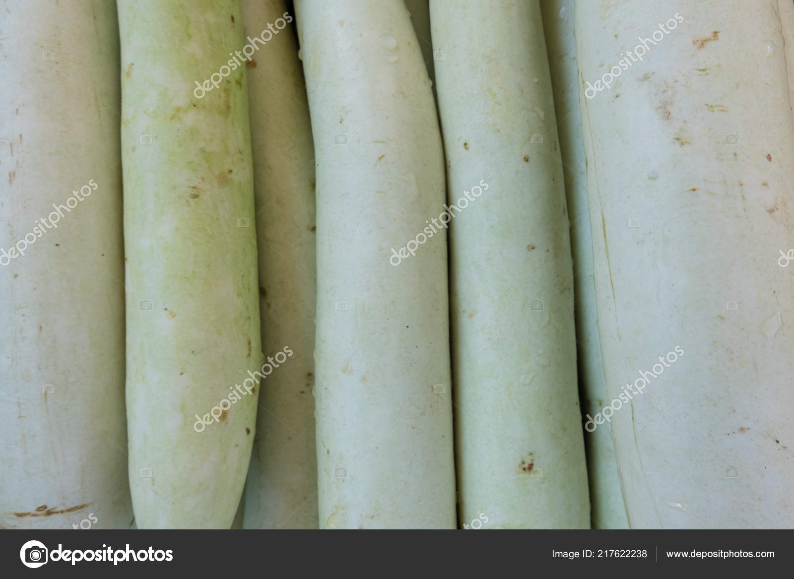 Gourd - 1600x1167 Wallpaper - teahub.io