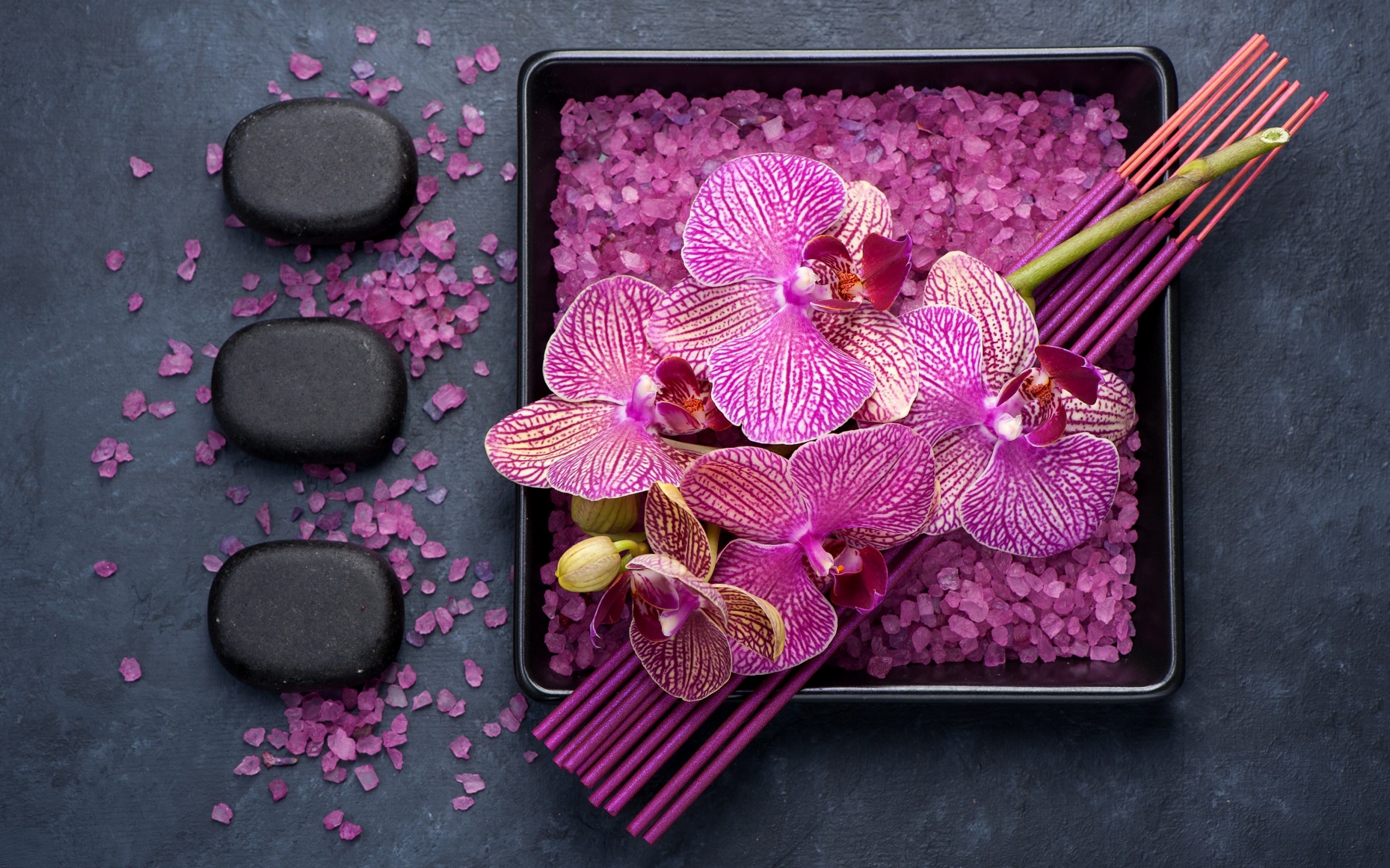 Pink Orchids, Tropical Flowers, Black Stones, Spa Concepts, - Sea Salt Orchid - HD Wallpaper 