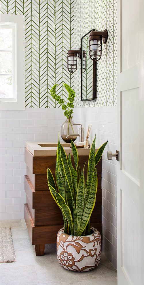 Atlanta Low Maintenance With Contemporary Wallpaper - Potted Plants For Bathrooms - HD Wallpaper 