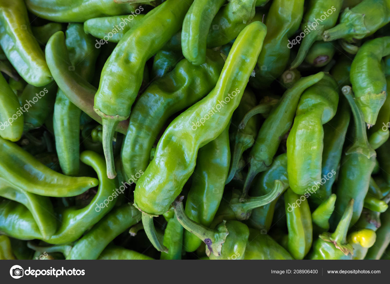 Bird's Eye Chili - HD Wallpaper 