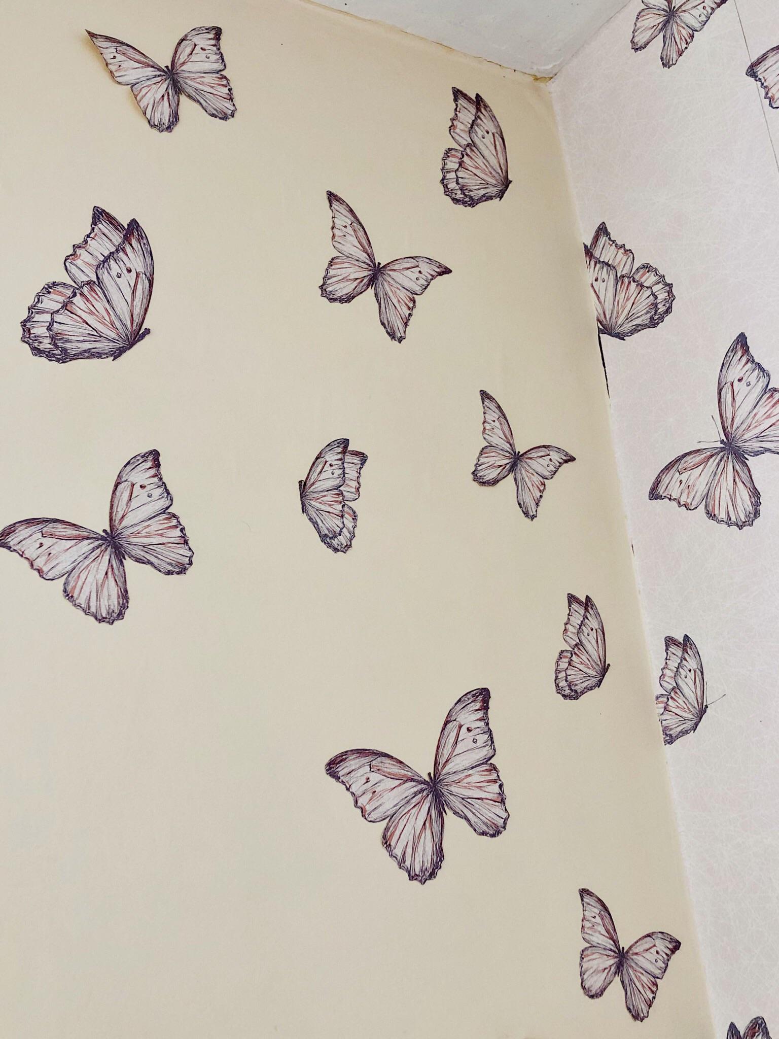 Melanargia Galathea - HD Wallpaper 