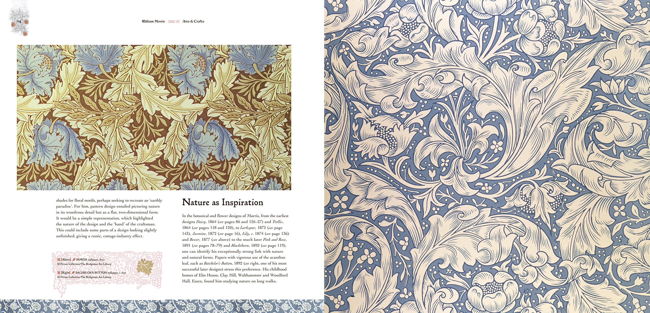 William Morris Bachelor Button - HD Wallpaper 