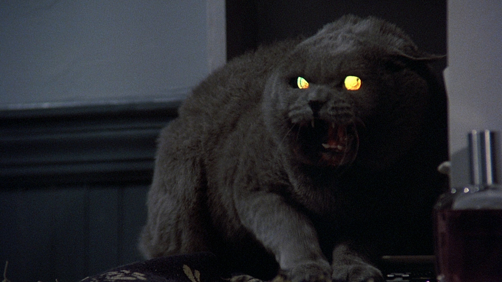 Pet Sematary 1 - HD Wallpaper 