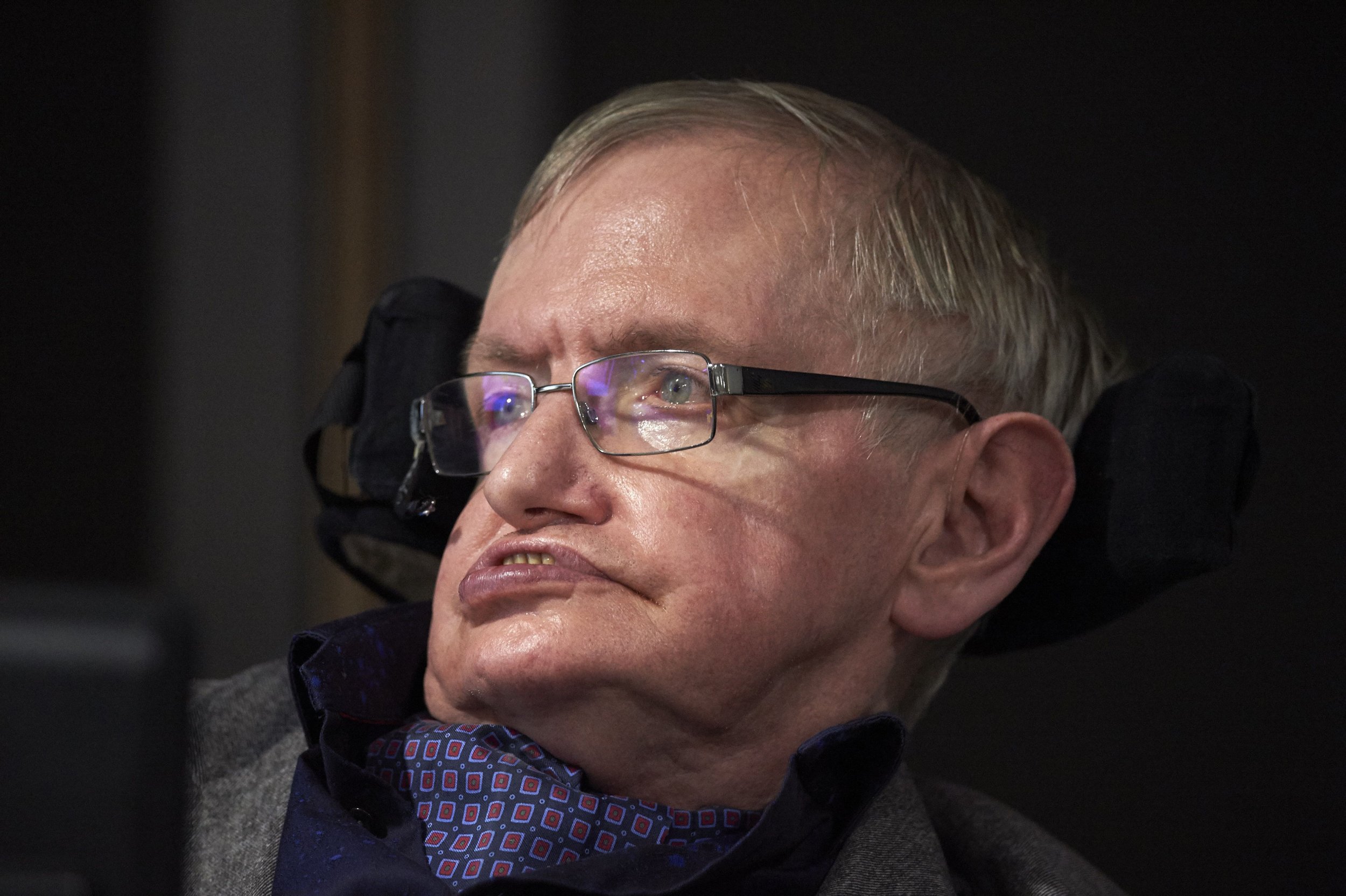 Stephen Hawking - Will Humans Look Like In 1000 Years - HD Wallpaper 