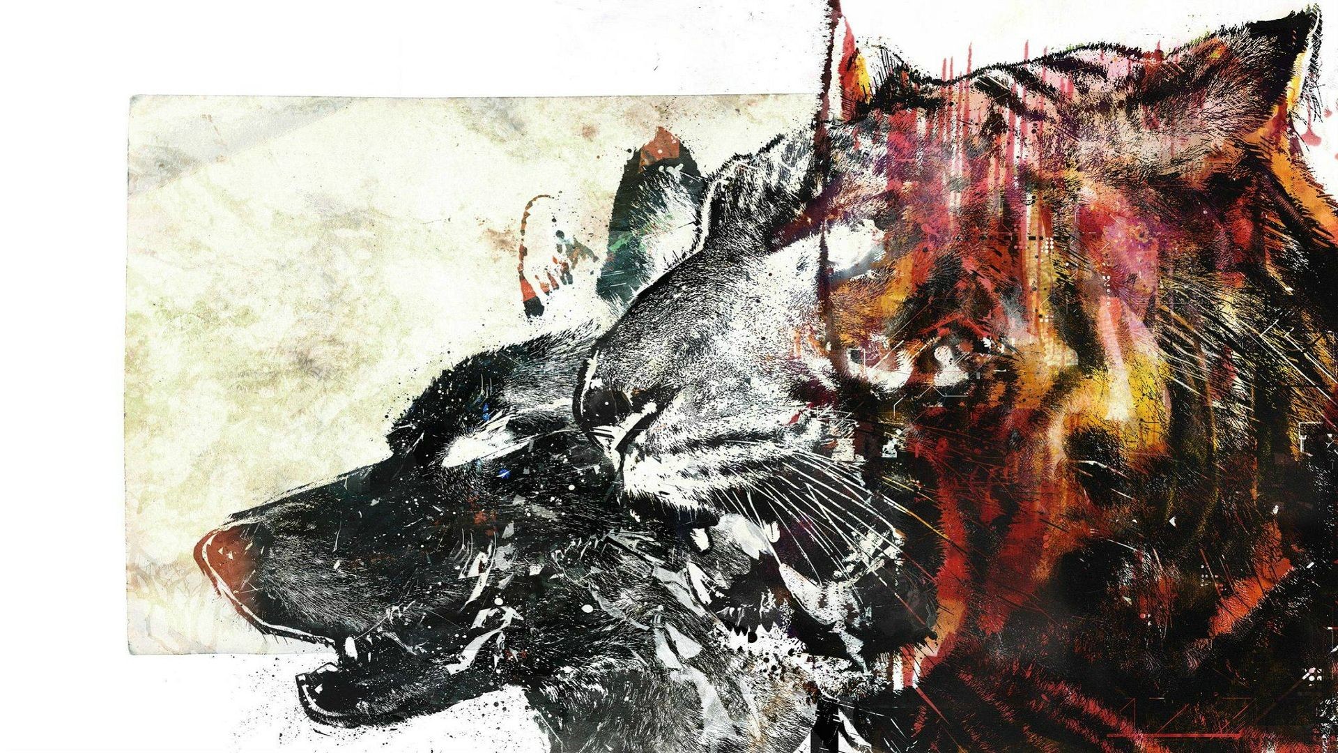 Tiger And Wolf Background - HD Wallpaper 