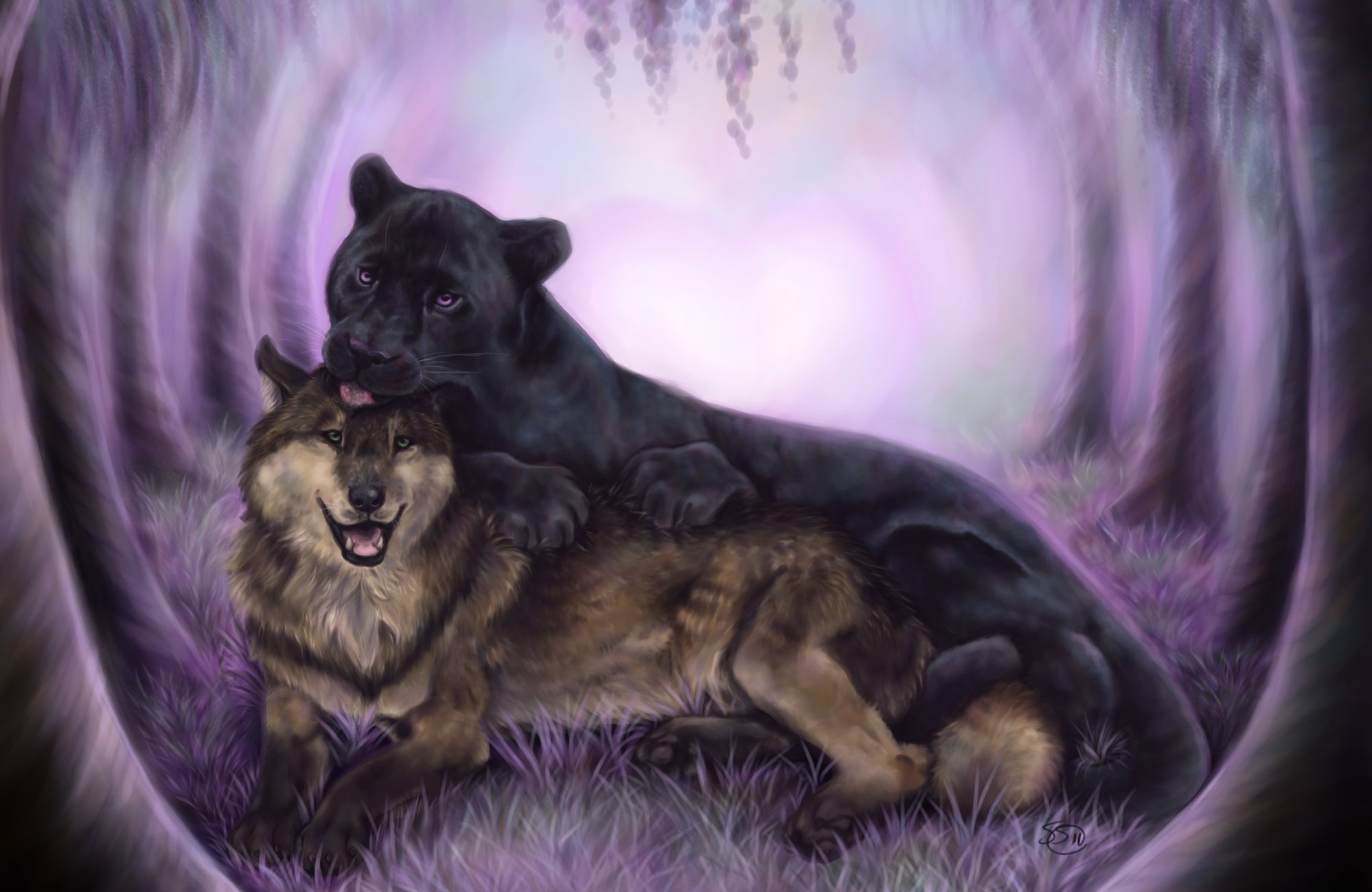 Wolf Black Panther Animal - HD Wallpaper 