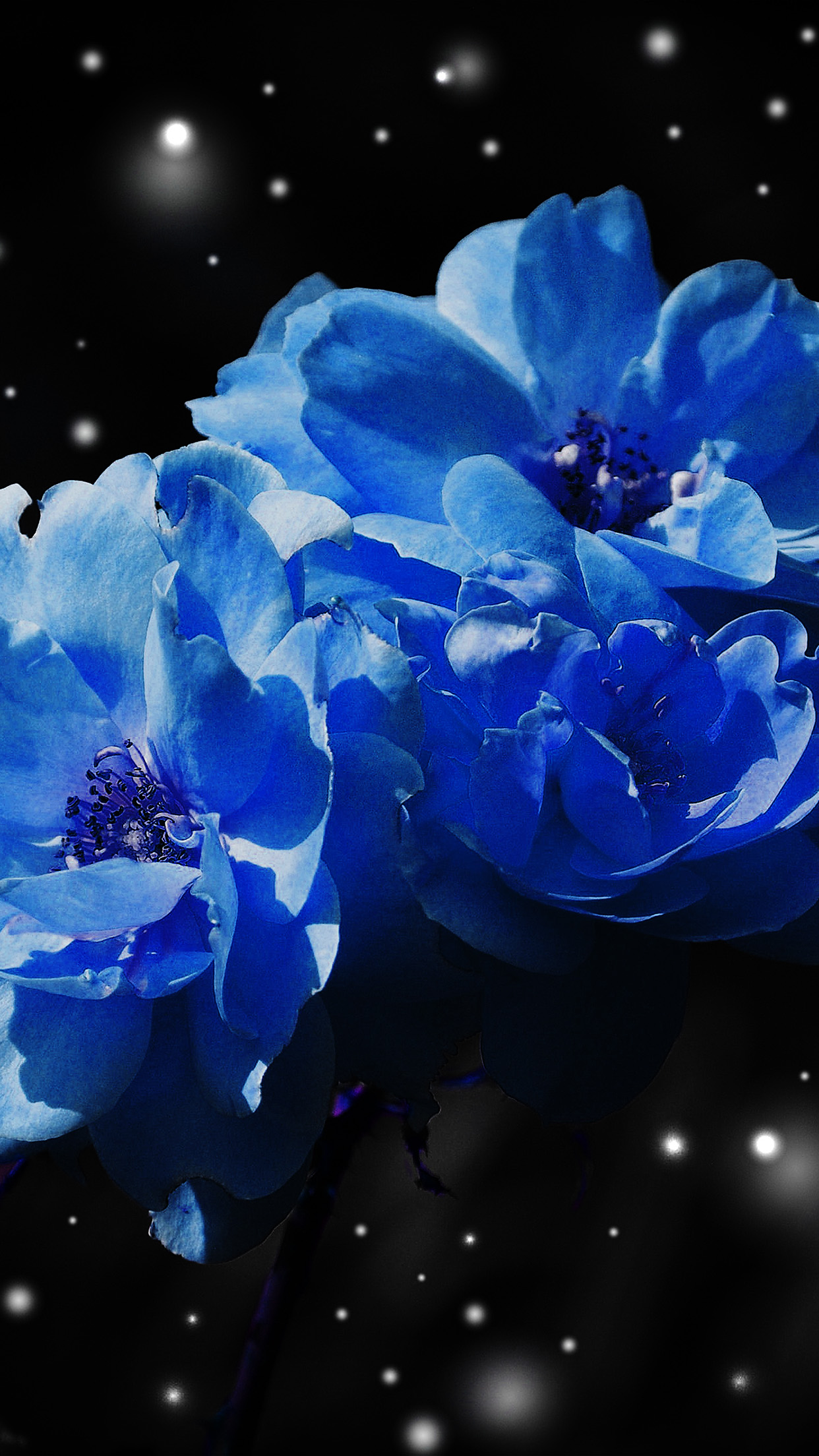 Flower Blue Snow Nature Art Android Wallpaper - Blue Snow Wallpaper Iphone - HD Wallpaper 
