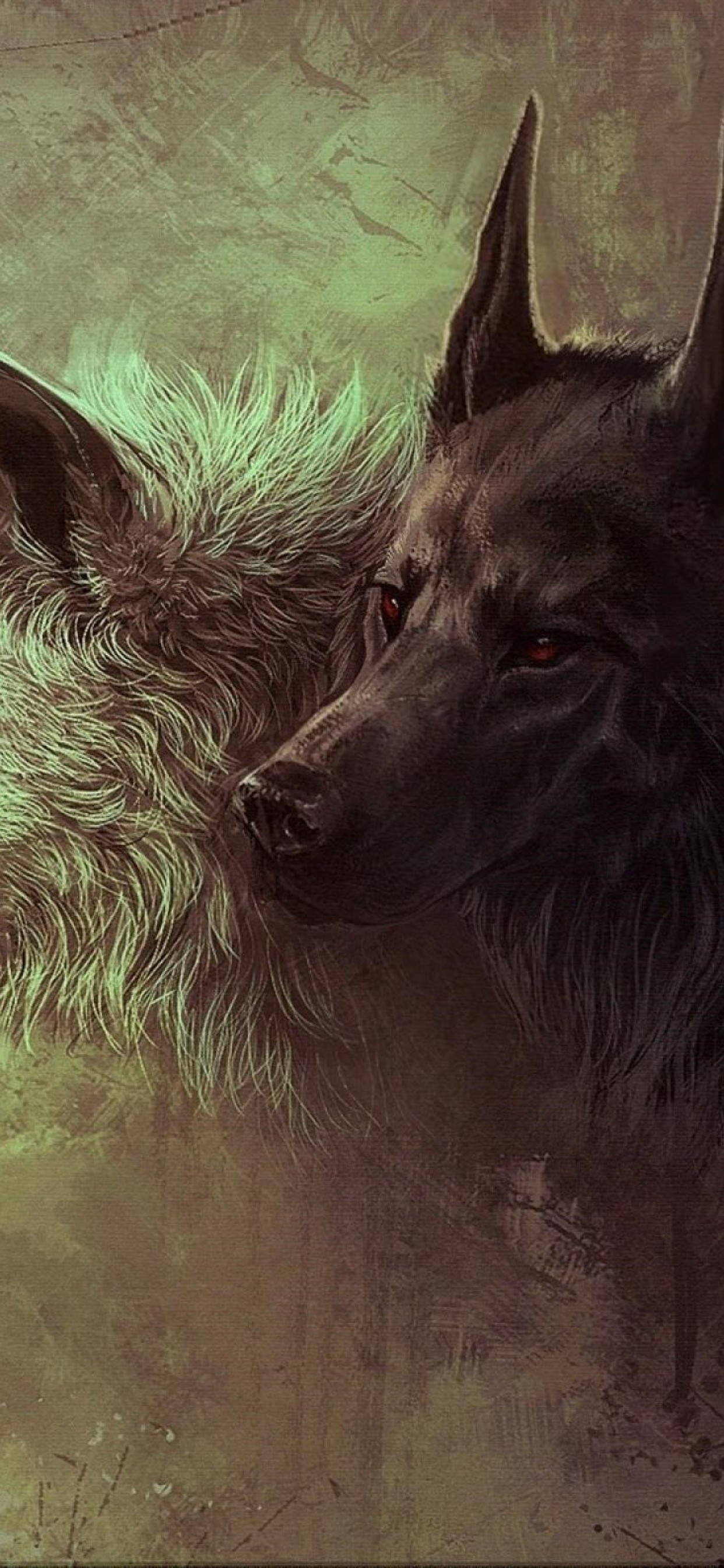 Black And White Wolves - HD Wallpaper 