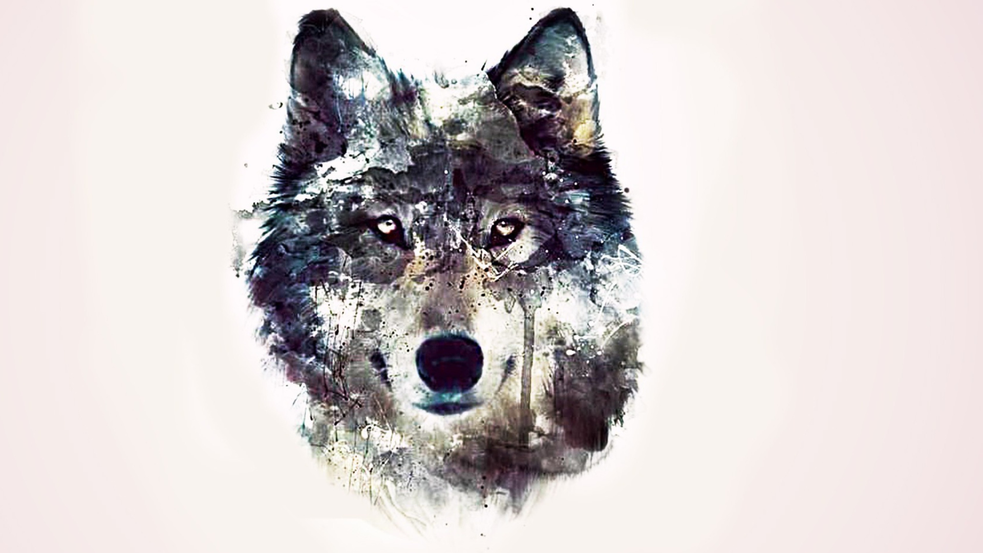 Wolf - Background Wolf - HD Wallpaper 