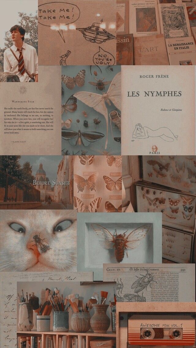 cats collage background