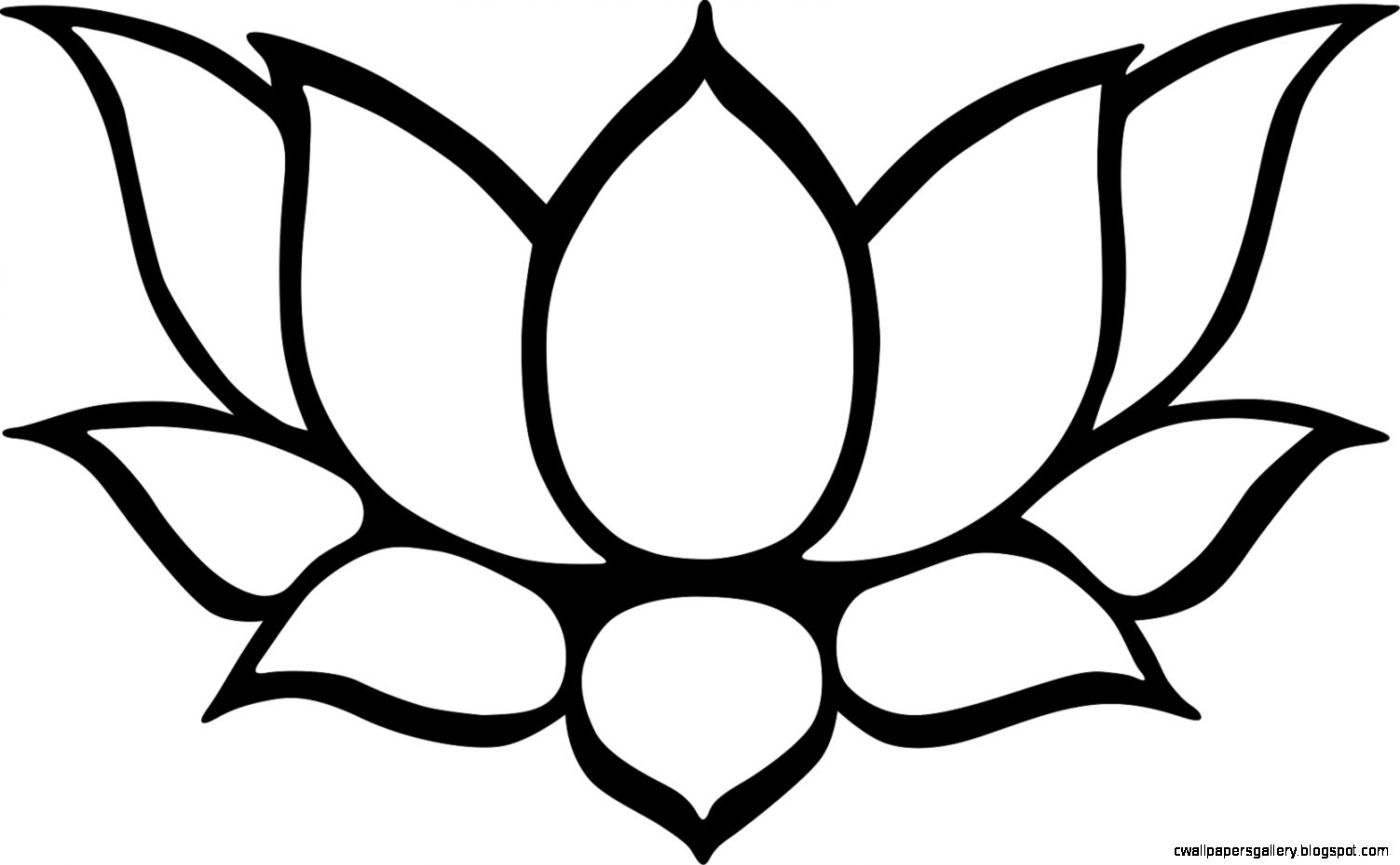 Lotus Drawing Wallpaper For Free Download - Lotus Black And White Clipart - HD Wallpaper 