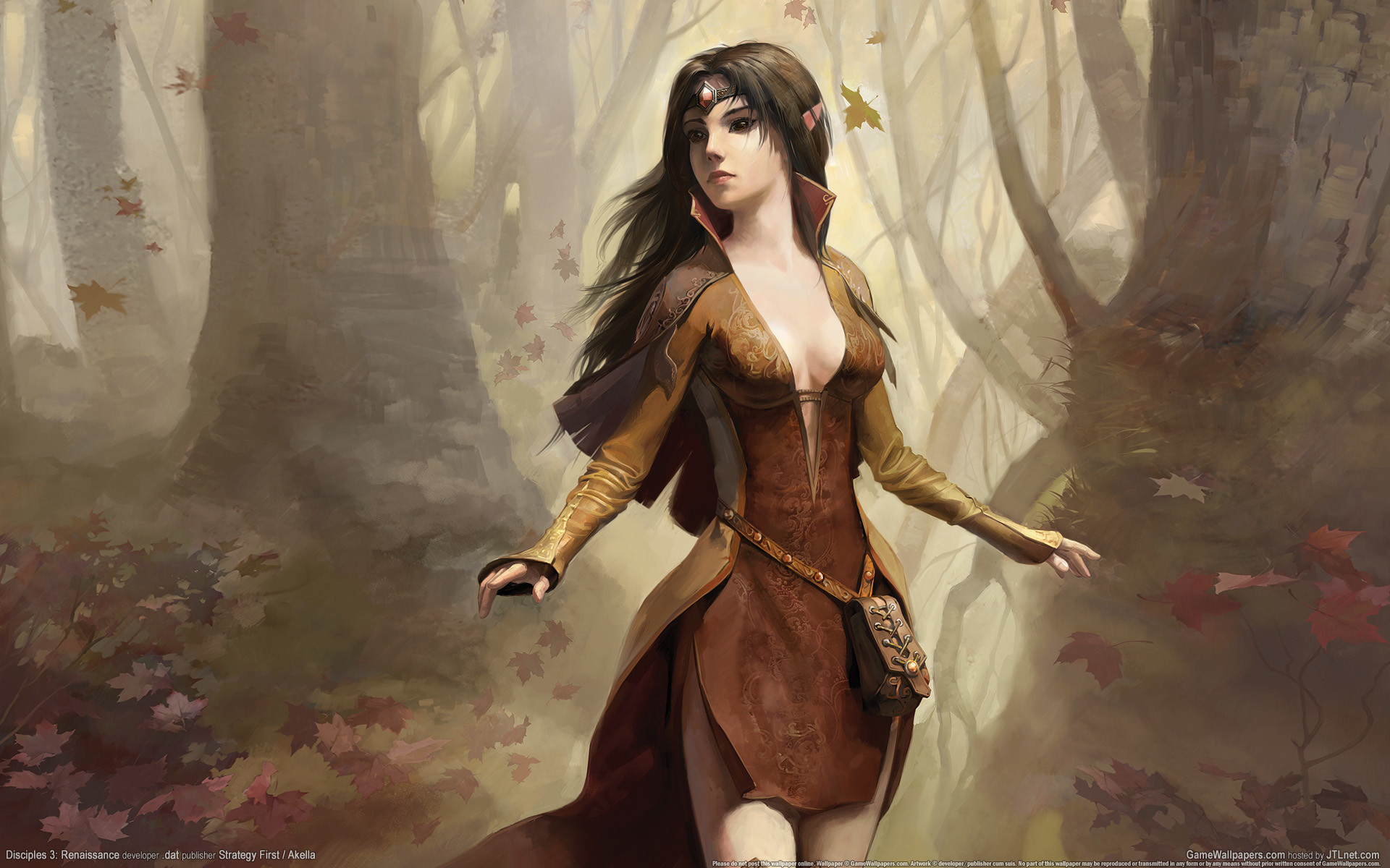 Disciples 3 Renaissance 2 
 Data-src - Female Black Haired Elf - HD Wallpaper 