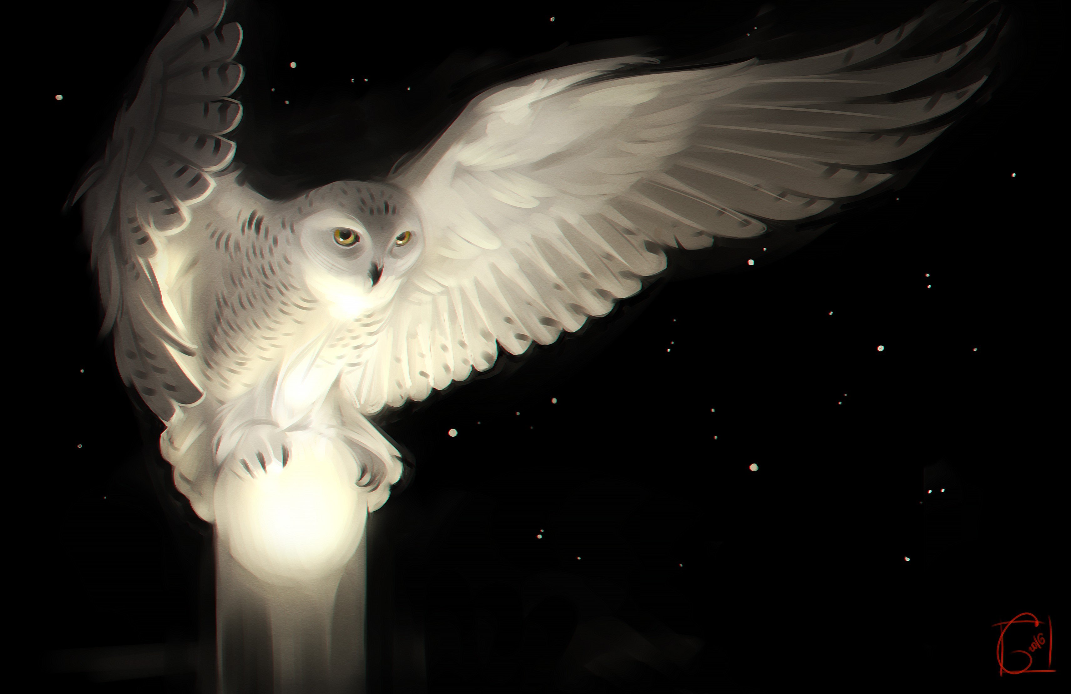 Owl Art Wallpaper - HD Wallpaper 