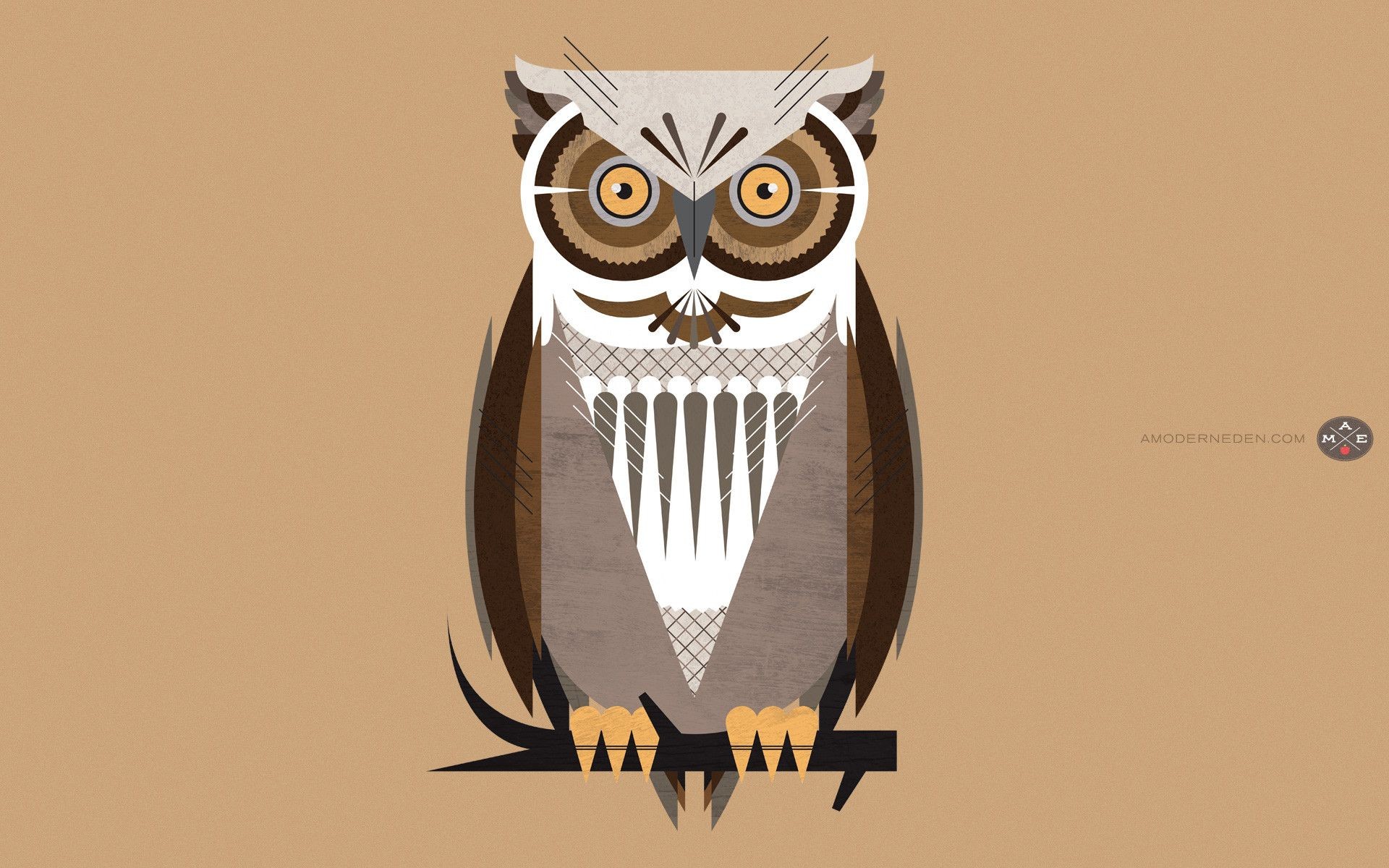 Owl Desktops - HD Wallpaper 