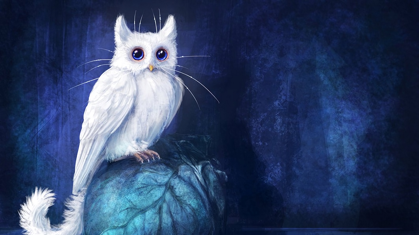 Wallpaper Cat, Owl, Art, Fantasy - Cat Owl Art - HD Wallpaper 