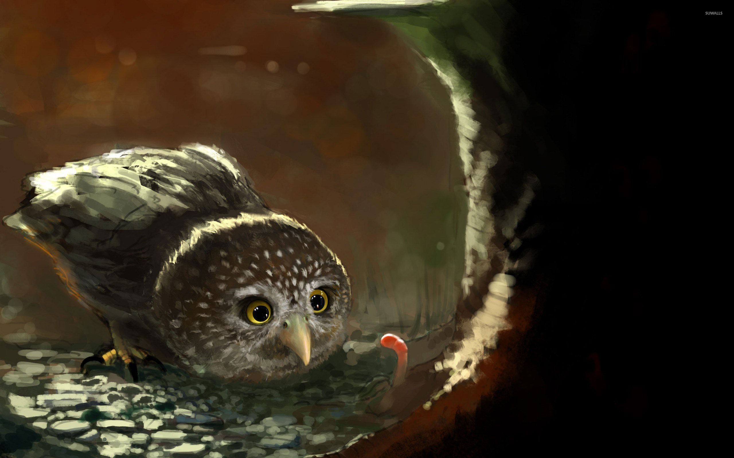Owl And Worm - HD Wallpaper 