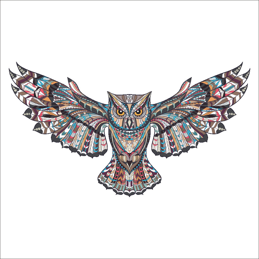 Colorful Owl - HD Wallpaper 