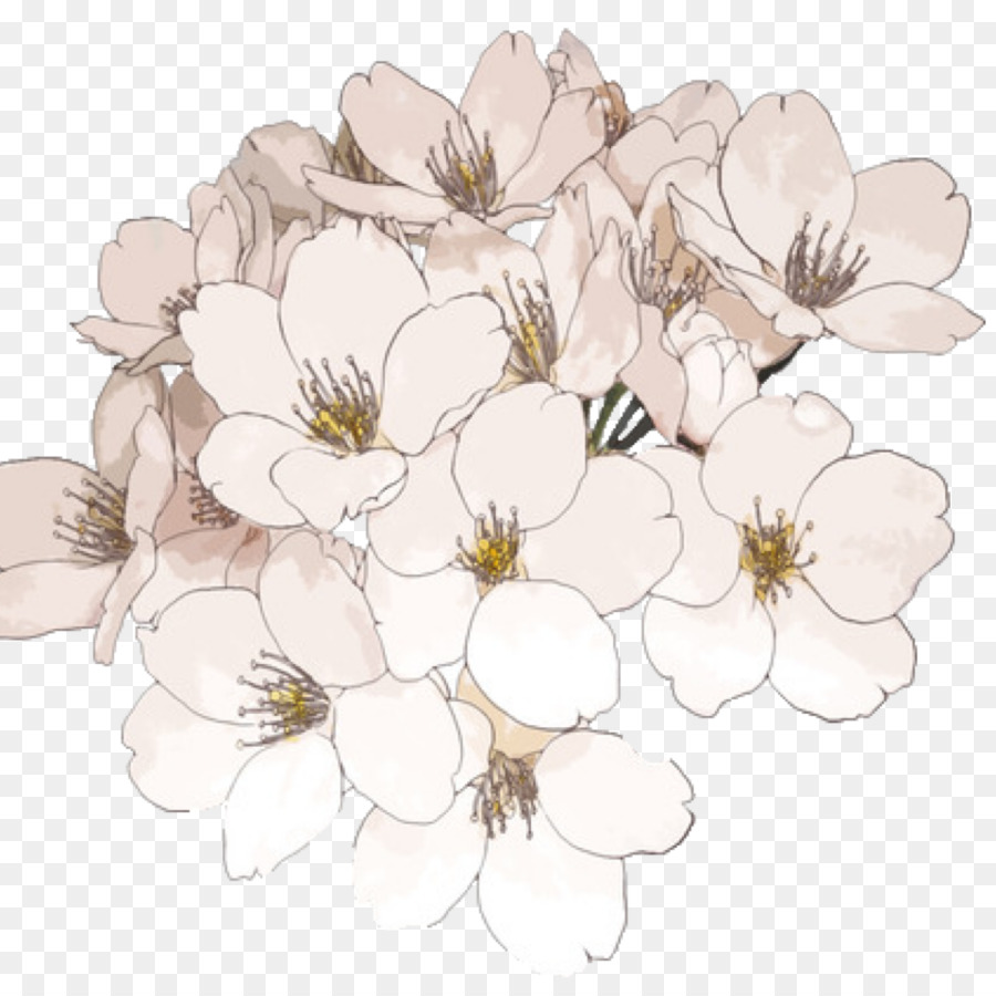 Portable Network Graphics Transparency Flower Clip - Flower Drawing - HD Wallpaper 