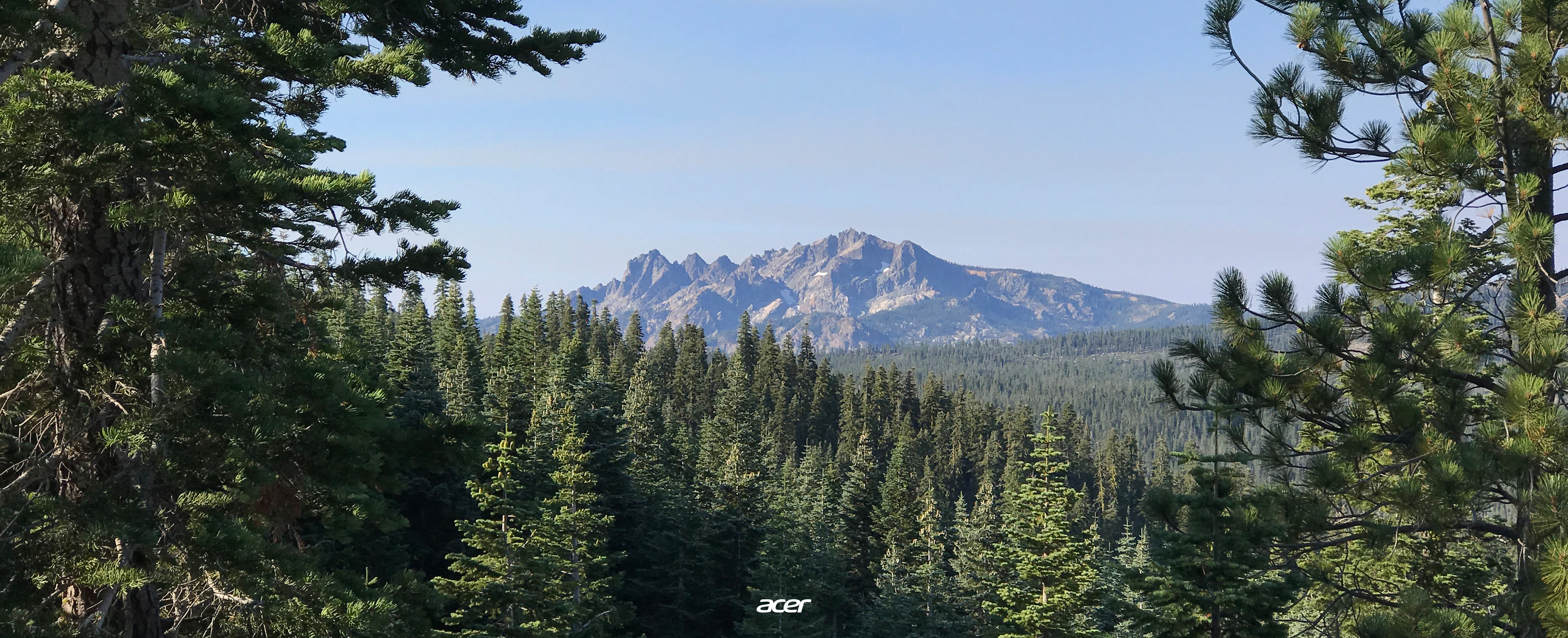 Spruce-fir Forest - HD Wallpaper 