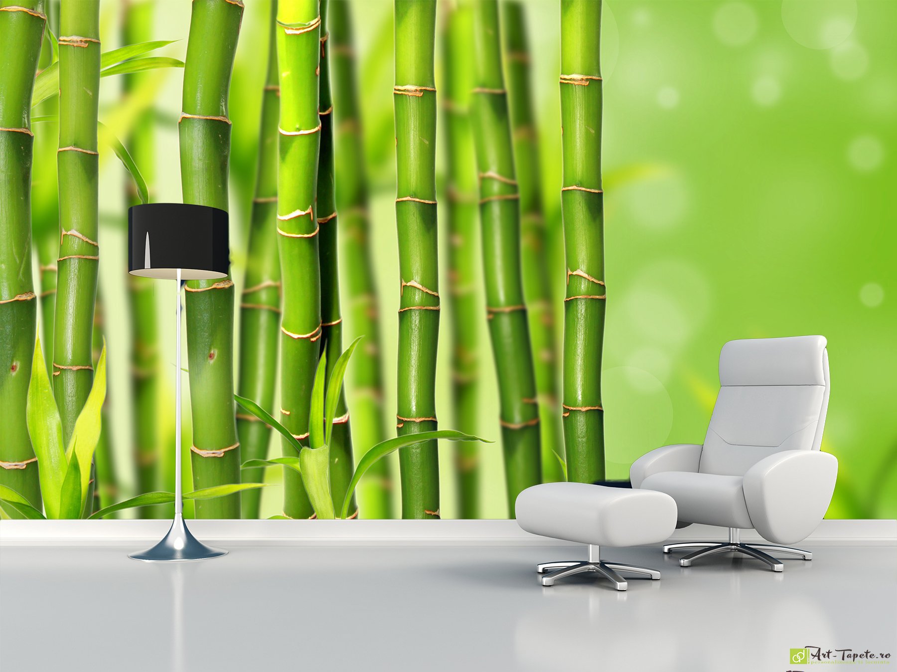Blurred Background Green Jungle - HD Wallpaper 